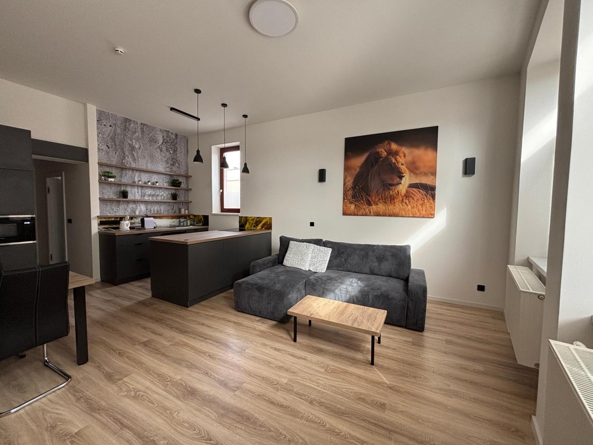 Apartemnt In * Dvur Kralove nad Labem